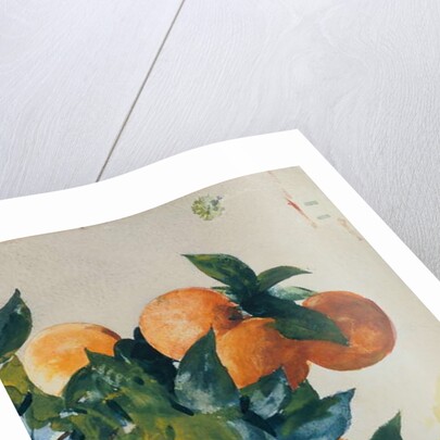 Oranges on a Branch, 1885 by Winslow Homer