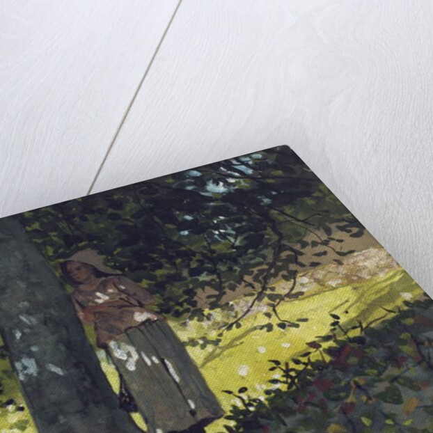 A Shady Spot, Houghton Farm, 1878 by Winslow Homer