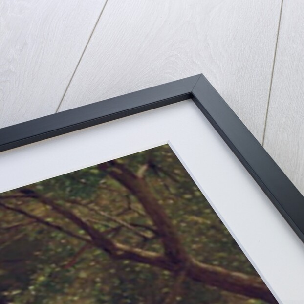 Girl in the Hammock, 1873 by Winslow Homer