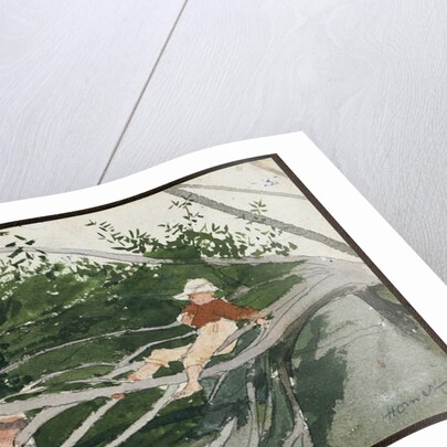 Out on a Limb by Winslow Homer