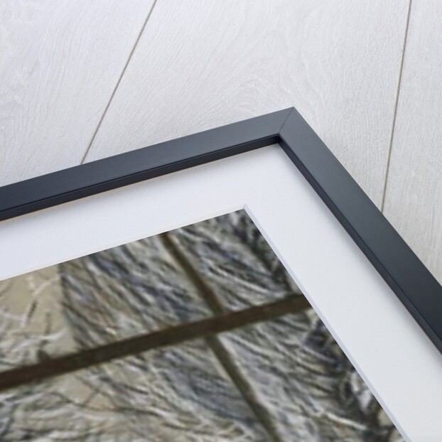 Looking at the Snow by Christopher Richard Wynne Nevinson