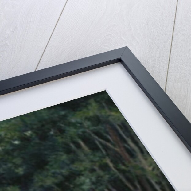 Bathers on the Banks of the Cure by Maximilien Luce