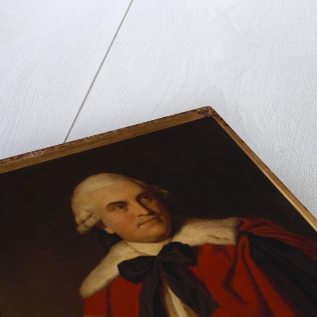 Portrait of George William, 6th Earl of Coventry, in Peer's Robes by Nathaniel Dance