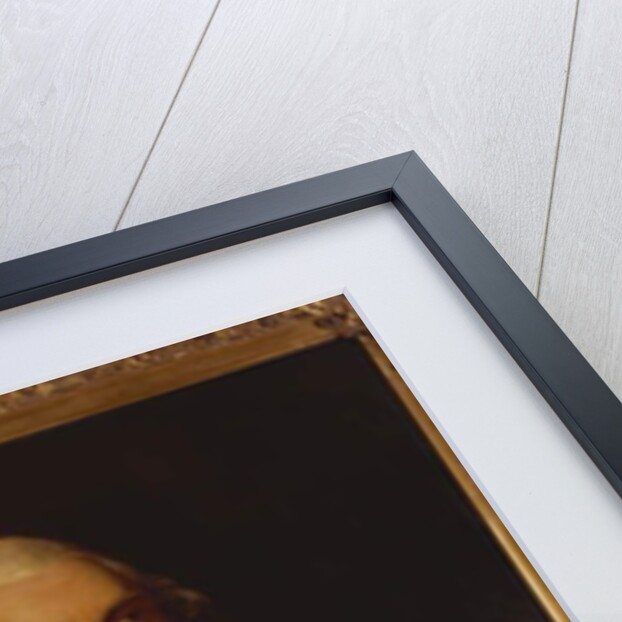 Portrait of George William, 6th Earl of Coventry, in Peer's Robes by Nathaniel Dance