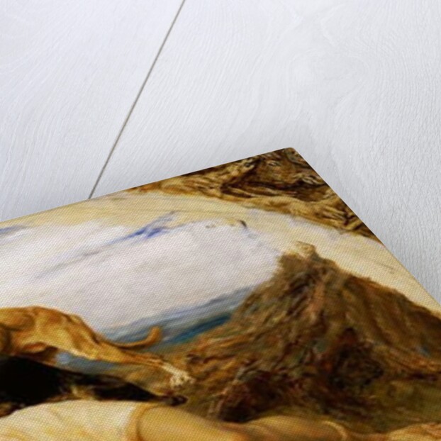 Adonis Wounded, 1887 by Briton Riviere