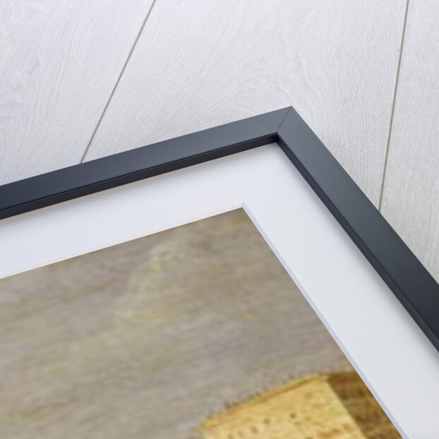 Piazza S. Pietro, Rome by Gaspar van Wittel