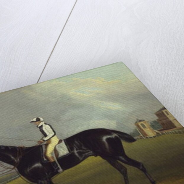 Mr R.O. Gascoigne's 'Jerry' with B. Smith up on Doncaster Racecourse by David of York Dalby