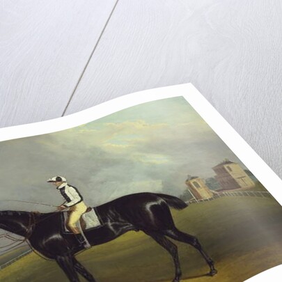 Mr R.O. Gascoigne's 'Jerry' with B. Smith up on Doncaster Racecourse by David of York Dalby