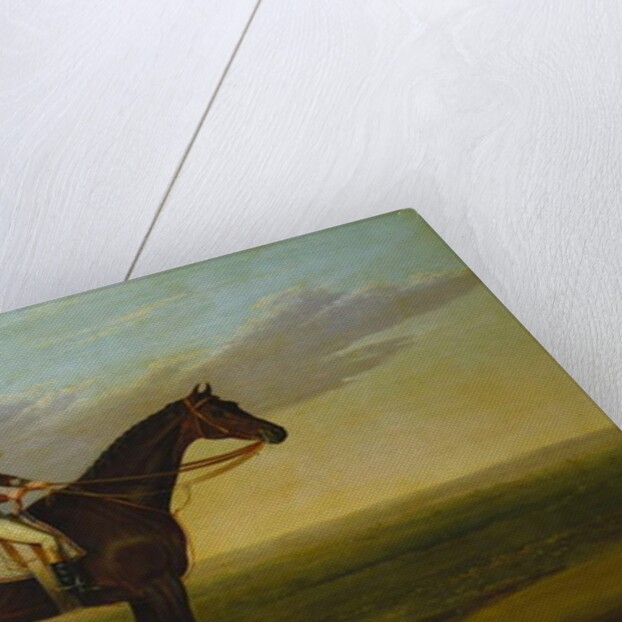 Mr Richard Watt's Bay Racehorse 'Rockingham' with Sam Darling up, on a Racecourse by David of York Dalby