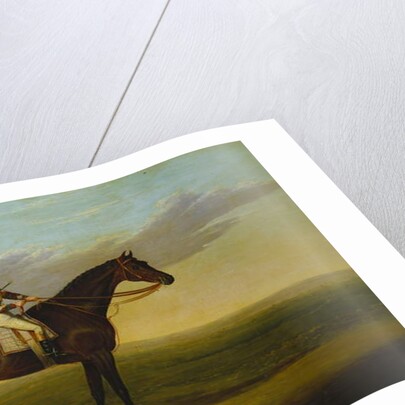 Mr Richard Watt's Bay Racehorse 'Rockingham' with Sam Darling up, on a Racecourse by David of York Dalby