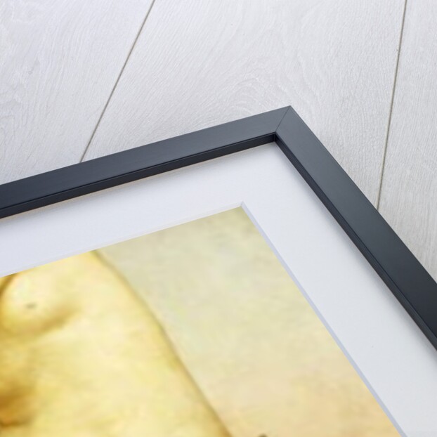 Clytie, 1886-87 by Evelyn De Morgan