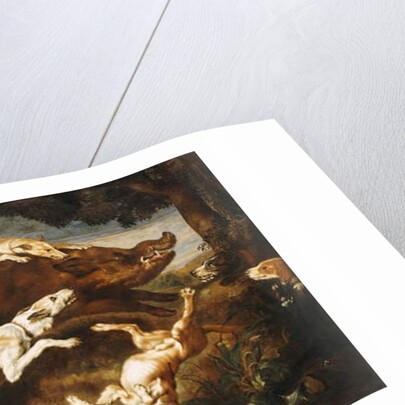 A Boar Hunt by Frans Snyders