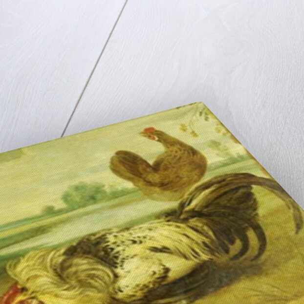 A Cock Fight by Frans Snyders