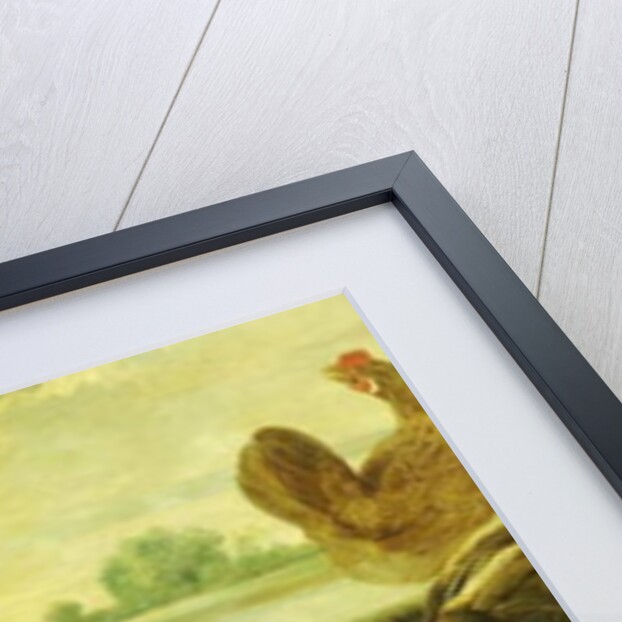 A Cock Fight by Frans Snyders