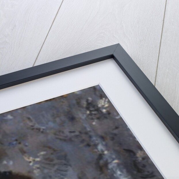 A Portrait of Madame Brizat from the Comedie Francaise by Alfred Emile Stevens