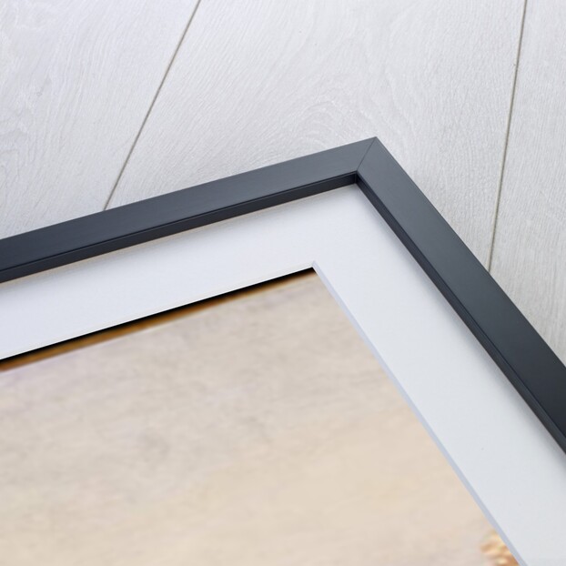 The Beach, Ostende by Alfred Emile Stevens