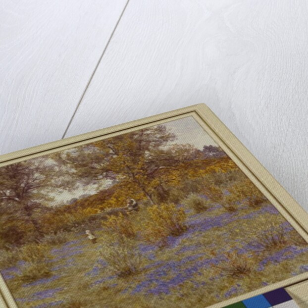 Bluebell Copse, 1889 by Helen Allingham