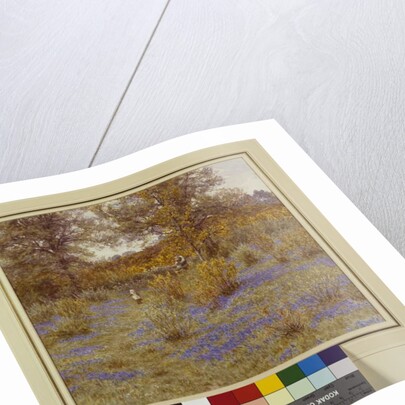 Bluebell Copse, 1889 by Helen Allingham