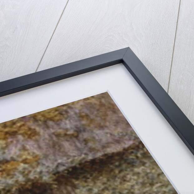 The Garden Gate by Helen Allingham