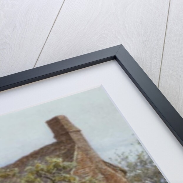 The Black Kitten by Helen Allingham