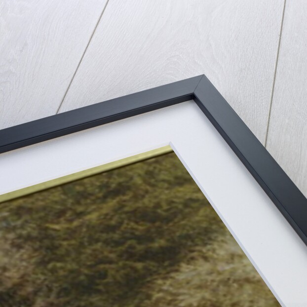 In the Primrose Wood by Helen Allingham