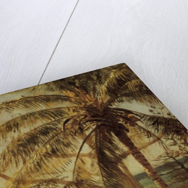 Palm Tree, Nassau, 1892 by Albert Bierstadt