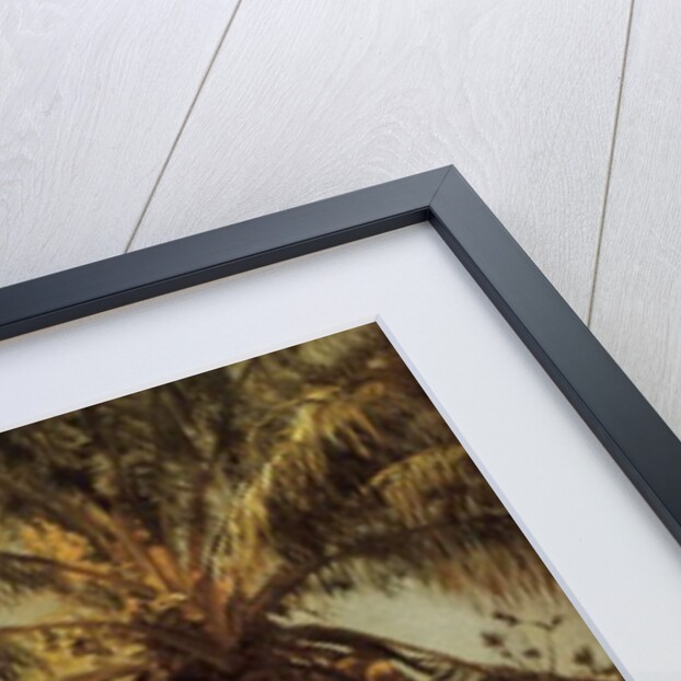 Palm Tree, Nassau, 1892 by Albert Bierstadt