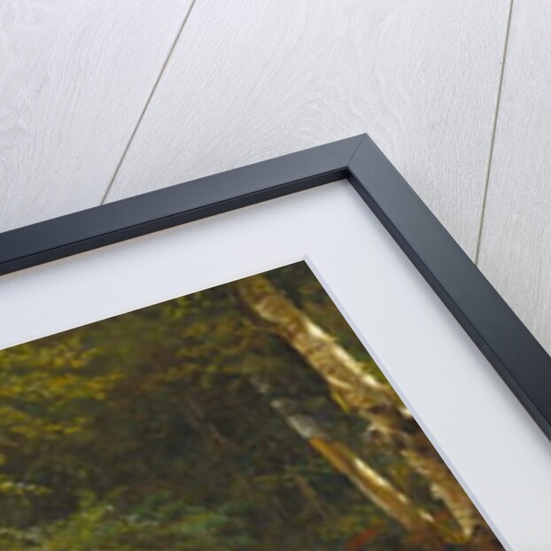 Thompson Cascade, White Mountains by Albert Bierstadt