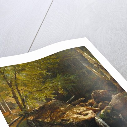 Thompson Cascade, White Mountains by Albert Bierstadt