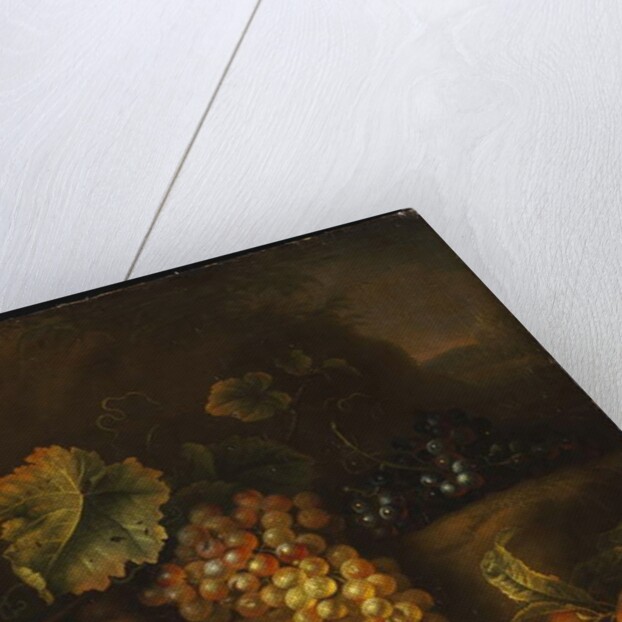 A Parrot with Grapes, Peaches and Plums in a Landscape by Tobias Stranover