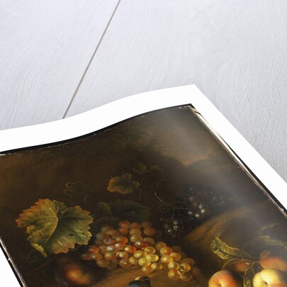 A Parrot with Grapes, Peaches and Plums in a Landscape by Tobias Stranover