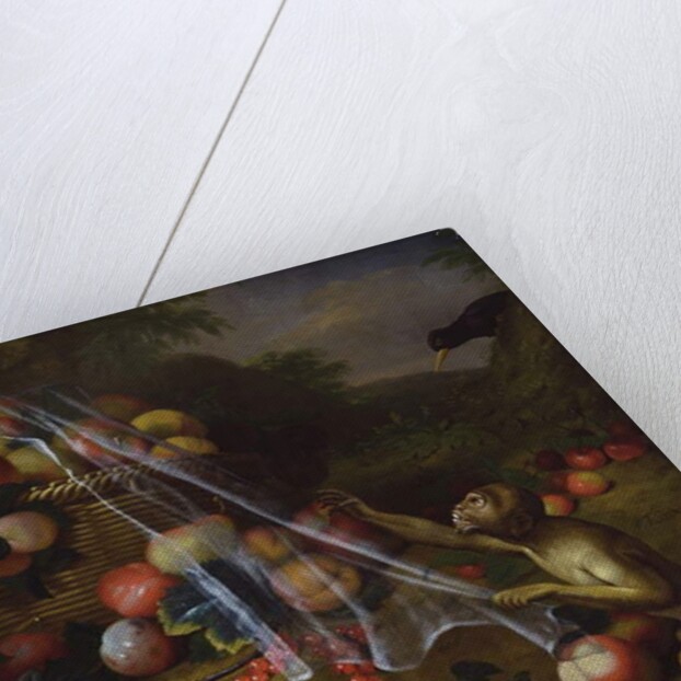 Mixed Fruit with a Monkey, a Parrot, a Jay and two Finches in a Landscape by Tobias Stranover