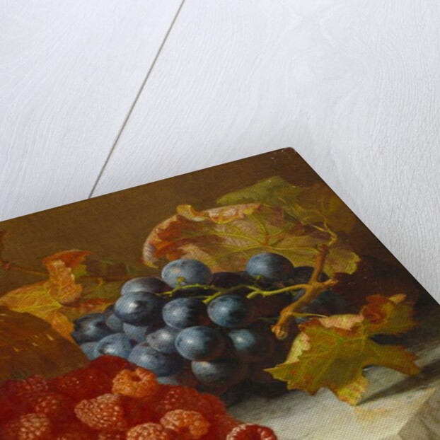 Still Life with Raspberries and a Bunch of Grapes on a Marble Ledge, 1882 by Eloise Harriet Stannard
