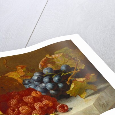 Still Life with Raspberries and a Bunch of Grapes on a Marble Ledge, 1882 by Eloise Harriet Stannard