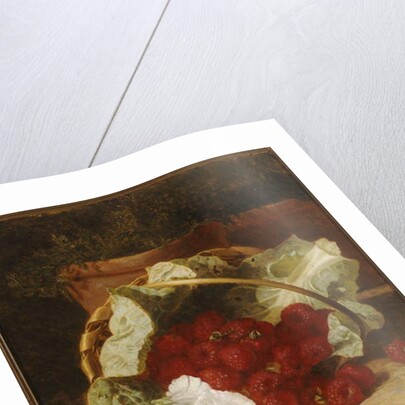 Raspberries in a Cabbage Leaf Lined Basket with White Convulvulus on a Stone Ledge, 1880 by Eloise Harriet Stannard