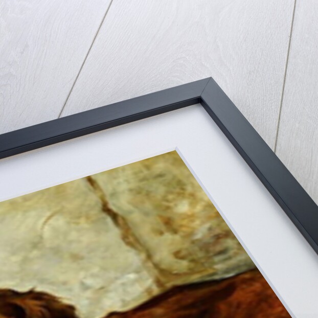 Shot and his Friends - Three Irish Red and White Setters, 1876 by John Emms