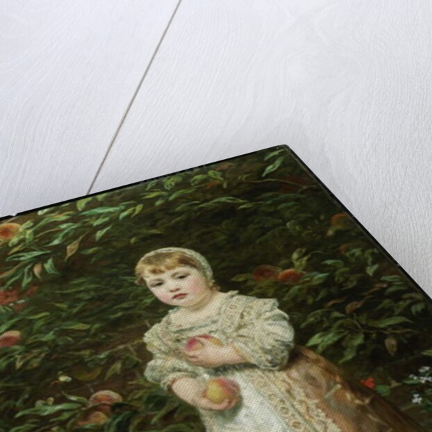 Peaches by James Sant