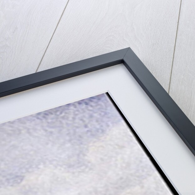 Saint-Tropez, after the Storm, 1895 by Paul Signac