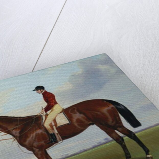 Mrs S. Wrather's 'Nutwith', with J. Marson Up, 1843 by Harry Hall