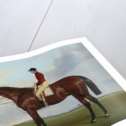 Mrs S. Wrather's 'Nutwith', with J. Marson Up, 1843 by Harry Hall