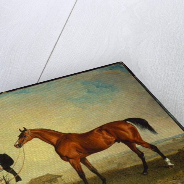 Skiff by Benjamin Marshall