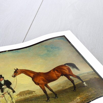 Skiff by Benjamin Marshall