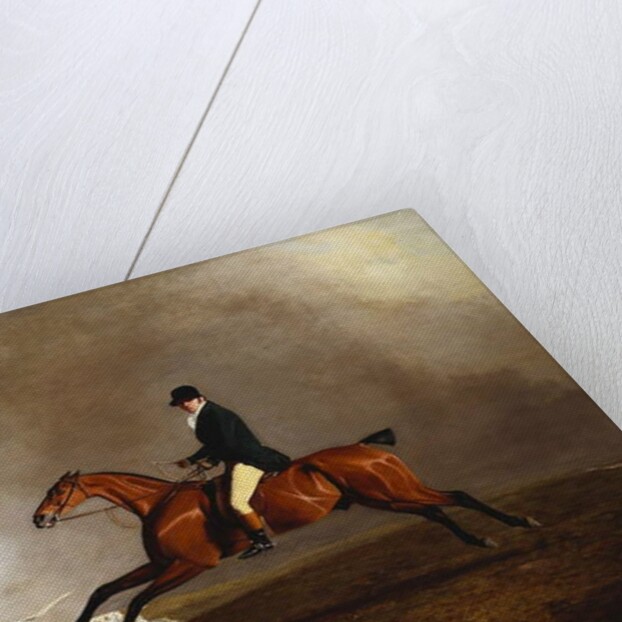 Thomas Mellish on his Hunter 'Saucebox' by Benjamin Marshall