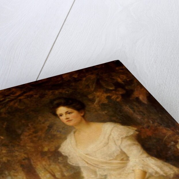 Portrait of a Lady, 1902 by Edward Robert Hughes