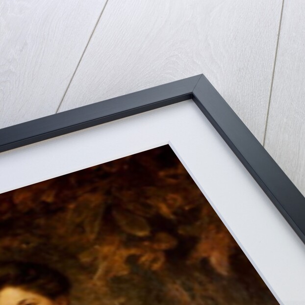 Portrait of a Lady, 1902 by Edward Robert Hughes