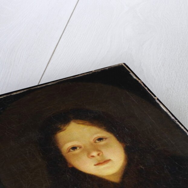 A Girl, Head and Shoulders by Petrus van Schendel