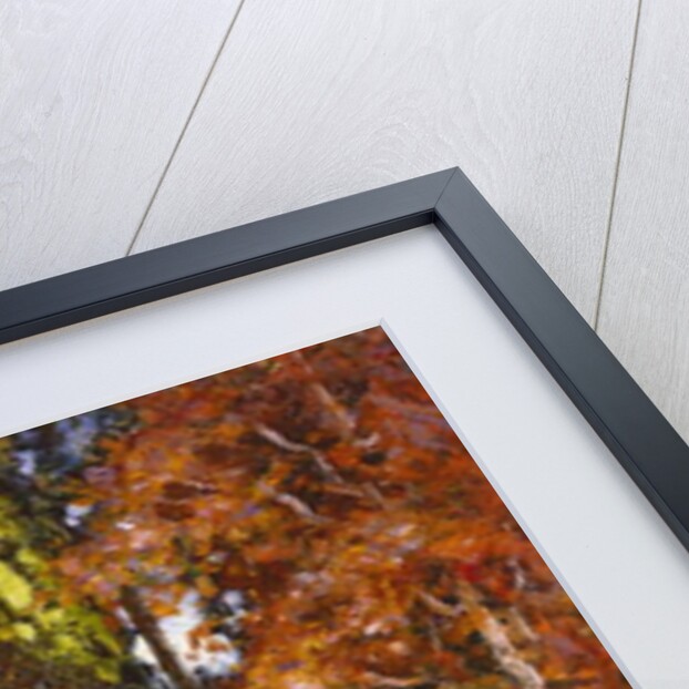 The Garden by the Sea by Thomas Edwin Mostyn