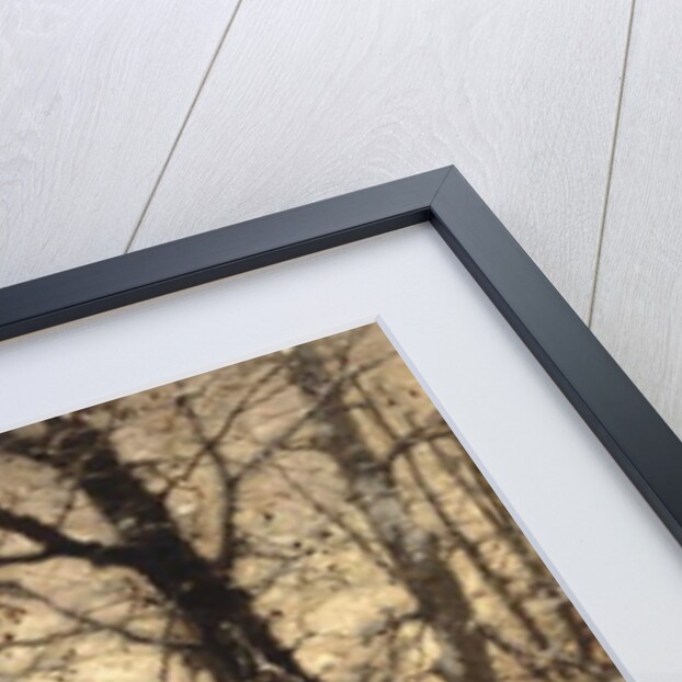 Winter Twilight, 1891 by Ludwig Munthe