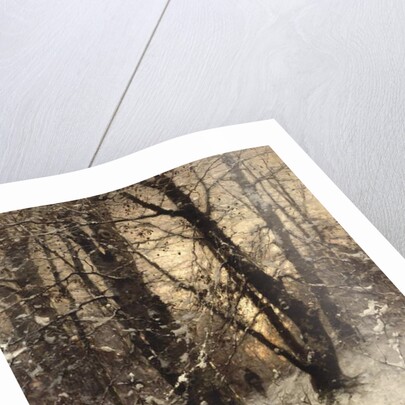 Winter Twilight, 1891 by Ludwig Munthe