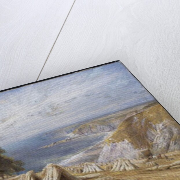 Harvesting on the South Coast, 1869 by Edmund George Warren